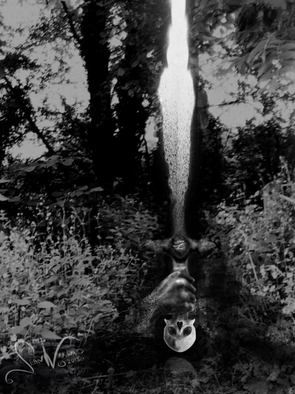 Fire and Water: Sean Woodward